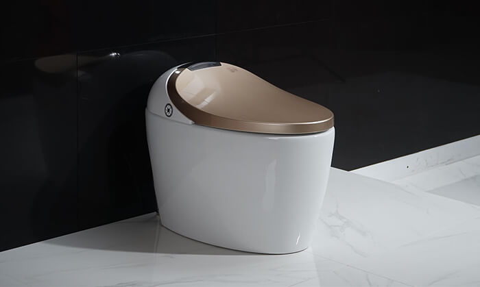 smart toilet booster pump