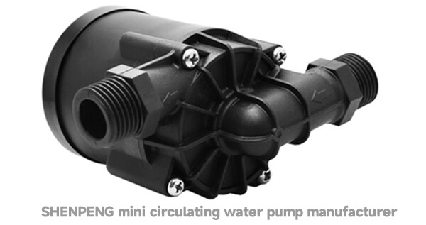 circulating water pump