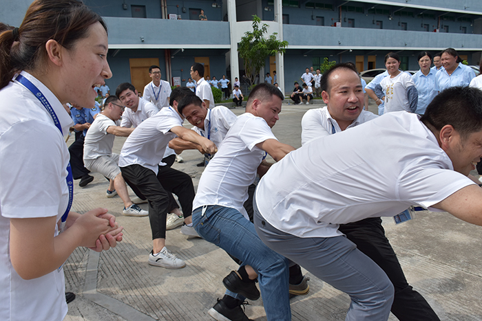 Tug-of-War