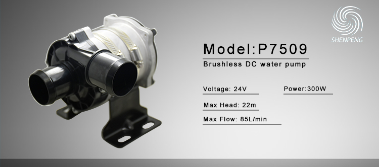24V New Energy Car Pump.jpg