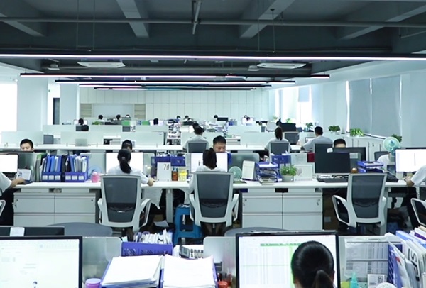 Company Office Environment