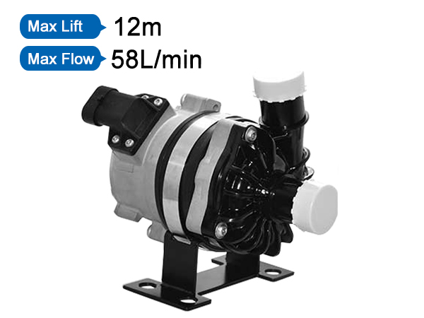 24V DC Car Auto Pump P8002