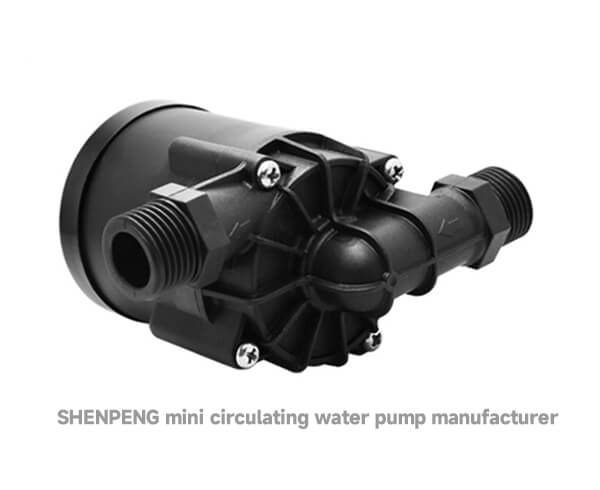 How to maintain circulating water pump?